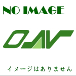 望遠レンズ