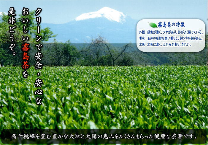 hkt-000_7.jpg