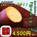 L_nag-002.jpg