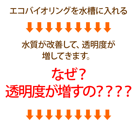 bio005.gif
