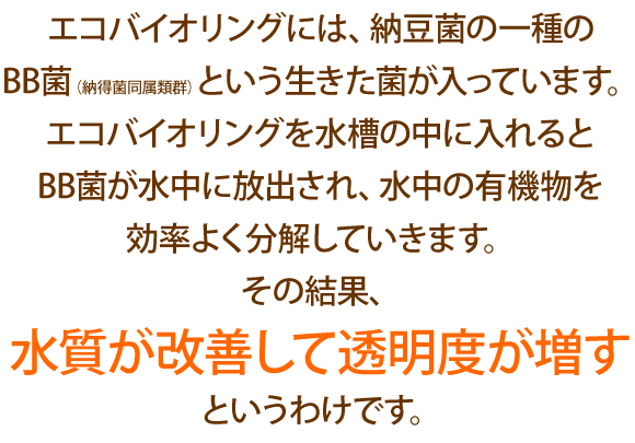 bio006.gif