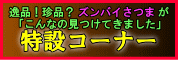 特設コーナー